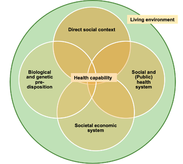 Figure of health capability factors